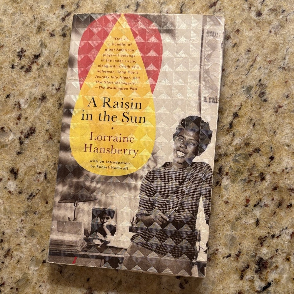 A Raisin in the Sun Book